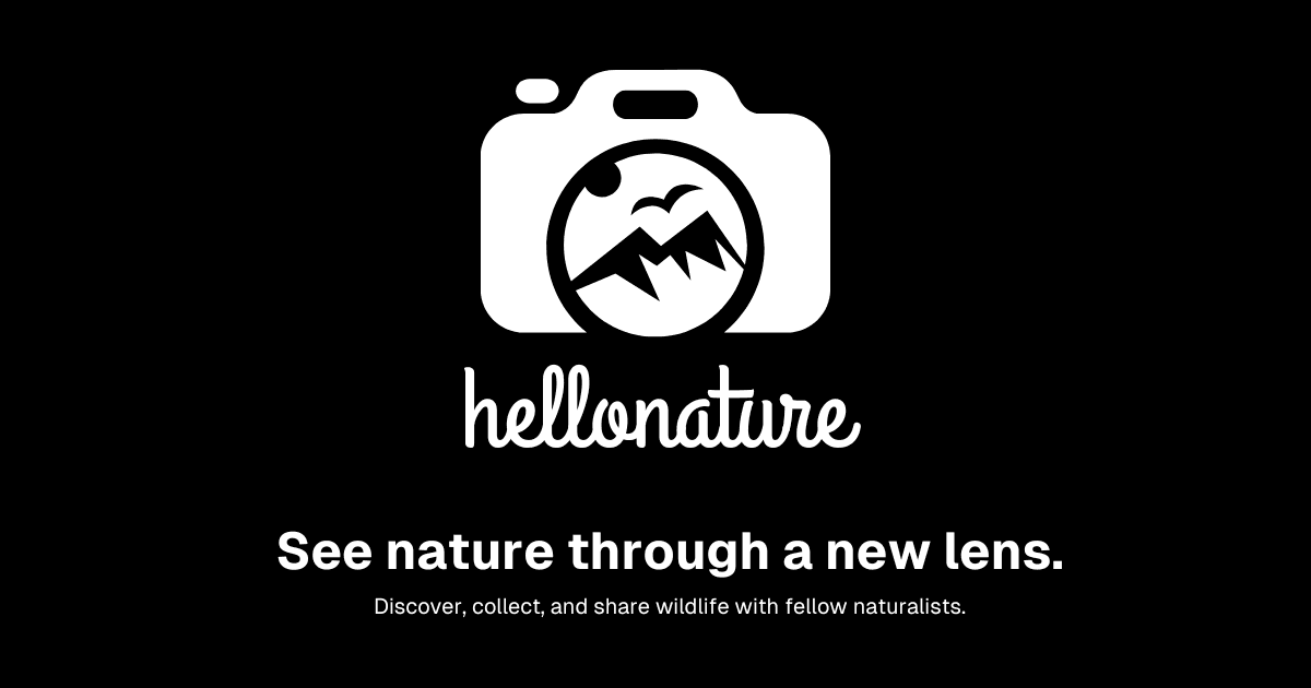 HelloNature